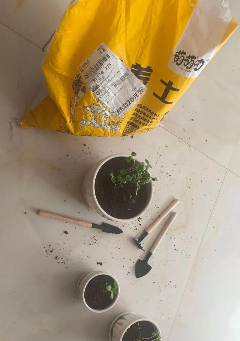 花盆土变粉末状且有虫是否还能使用？是否含有毒性？