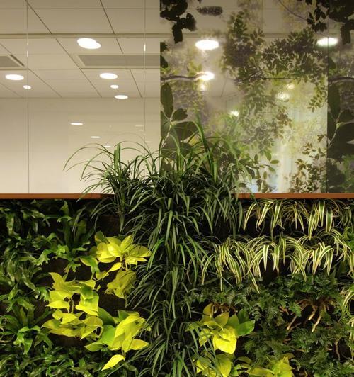 绿色植物墙材料有哪些？选择时应注意什么？