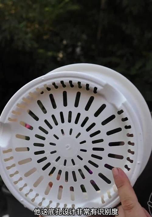 花盆浇水后不透水怎么办？如何确定问题所在并解决？