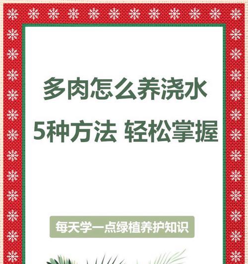 花盆浇水后不透水怎么办？如何确定问题所在并解决？