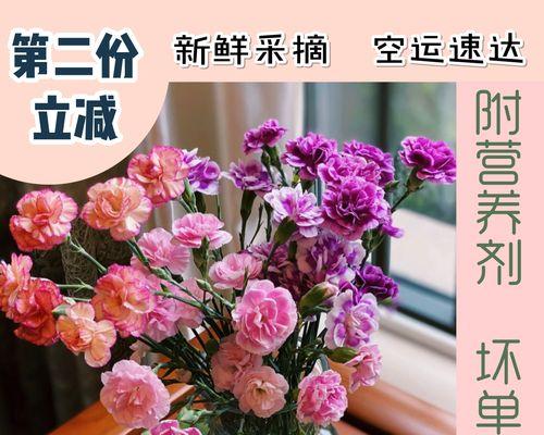康乃馨适合送谁？它的美好寓意是什么？