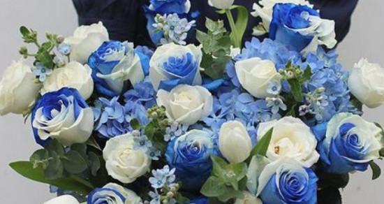 蓝色康乃馨代表什么含义？花语有哪些解读？