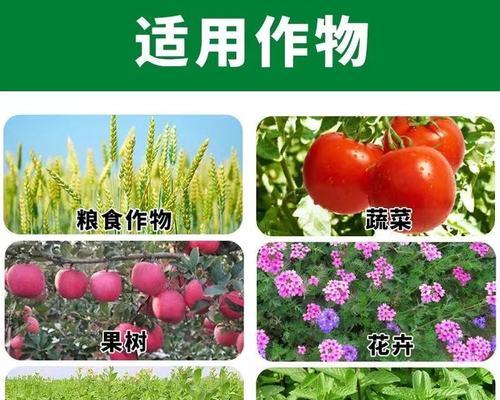 果树用什么肥料好？如何根据季节选择合适的肥料？