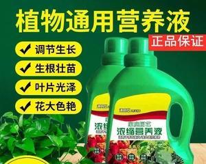 果树用什么肥料最好？如何根据果树种类选择合适的肥料？