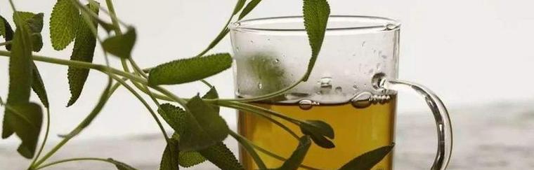 过期茶叶浇花好吗？使用过期茶叶对植物有什么影响？