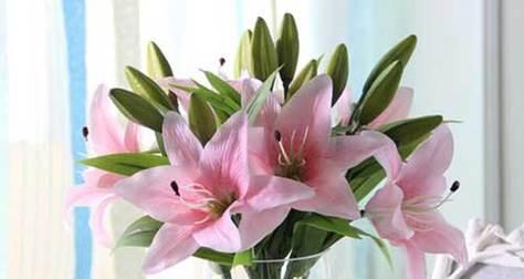 百合花的花语是什么意思？百合花寓意着什么？