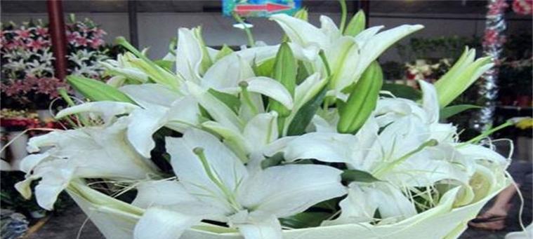 百合花象征什么意义？了解其背后的深层含义和文化象征。