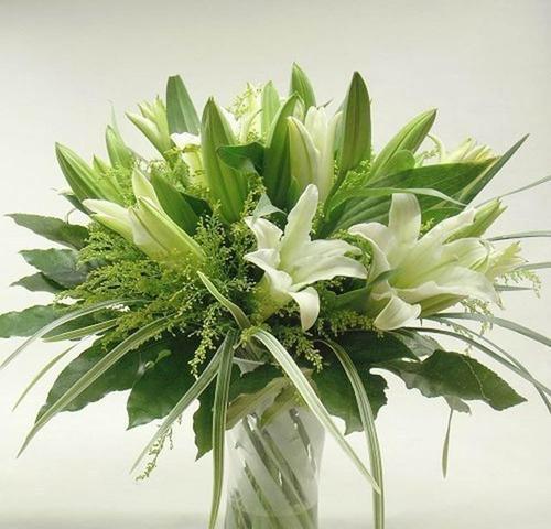百合花象征着什么意义？如何正确理解百合花的花语？