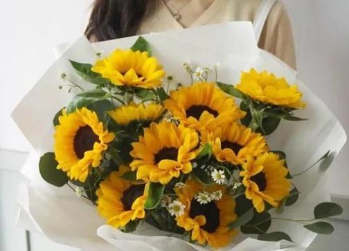橙色风信子代表什么？如何正确解读橙色风信子的花语含义？