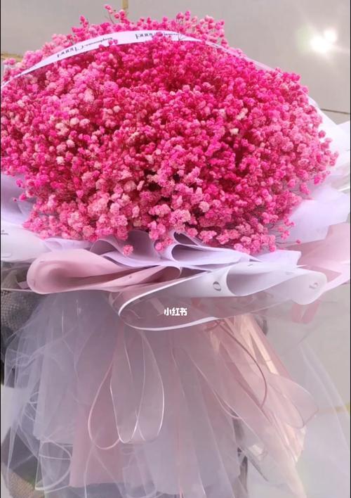 各色满天星的花语是什么？如何挑选合适的满天星花束？