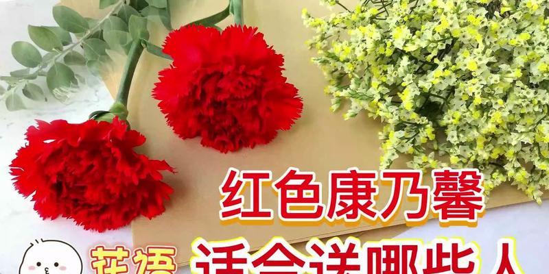 红色康乃馨代表什么？红色康乃馨的花语有哪些含义？