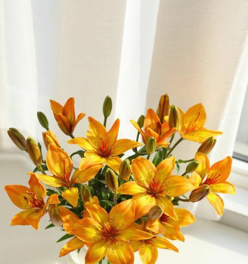 黄百合花代表什么？黄百合花的寓意有哪些常见问题解答？