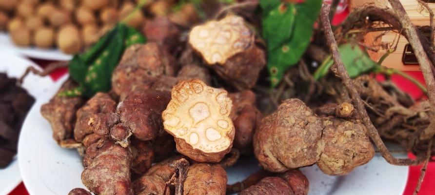 何首乌块茎繁殖与种植方法是什么？如何提高成活率？