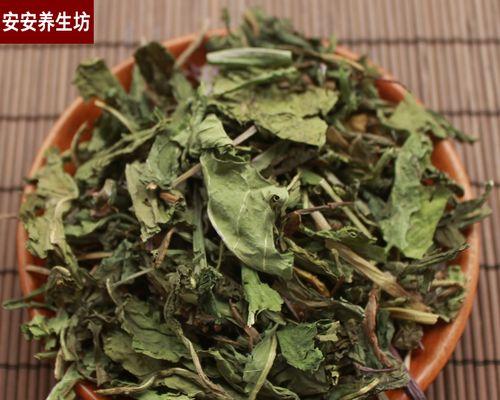 和蒲公英叶子很像的草是什么？如何区分它们？