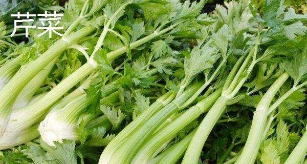 和芹菜长得很像的蔬菜有哪些？如何区分它们？