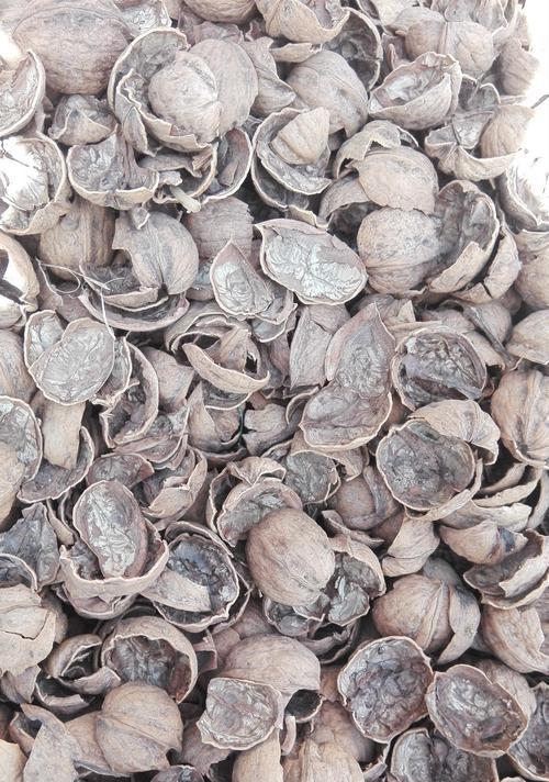 核桃壳能用作花土吗？核桃壳种花的正确处理方法是什么？