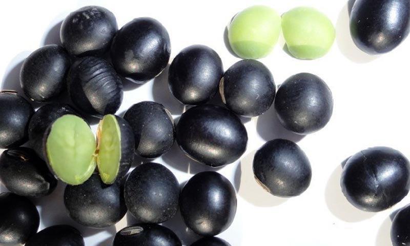 黑豆的含糖量是多少？适合糖尿病患者食用吗？