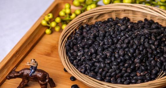 黑豆没熟透能吃吗？食用未熟黑豆的后果是什么？