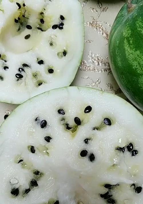 黑金刚瓜子属于哪种植物的种子？如何辨别其真伪？