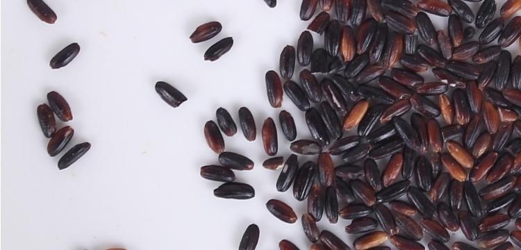 黑糯米有哪些神奇功效？如何正确食用黑糯米？