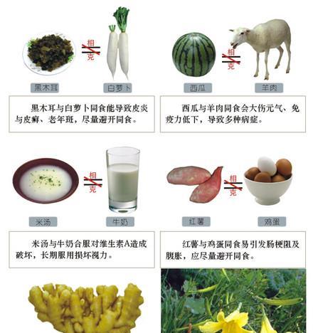 黑松上盆的最佳时间是什么时候？如何正确养护黑松？