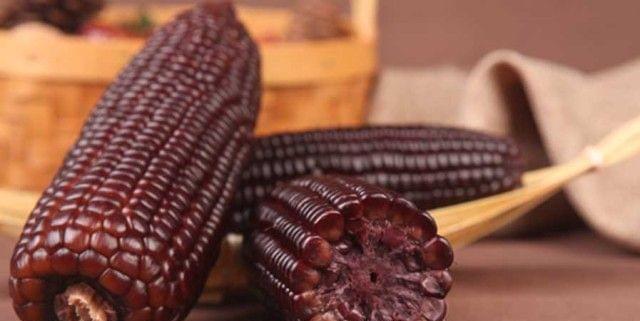 黑玉米的含糖量真的高吗？食用黑玉米需要注意什么？