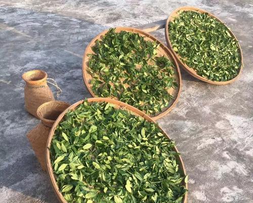 红茶的外观特征是什么？如何辨别不同种类的红茶？