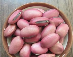 红刀豆种子能食用吗？食用安全性和方法是什么？