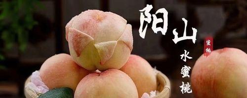 单果代表什么意思？如何理解单果在不同场合的含义？