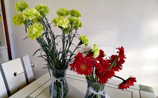 非洲菊花语是什么意思？如何正确解读非洲菊的花语？