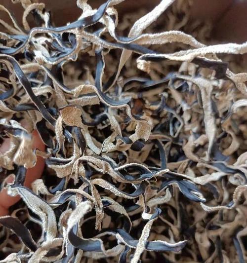 木耳废料能用作肥料吗？如何正确处理和使用？