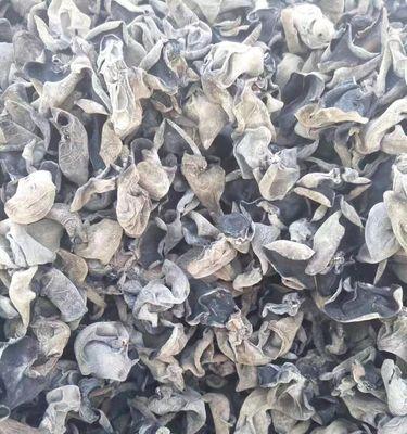 木耳废料能用作肥料吗？如何正确处理和使用？