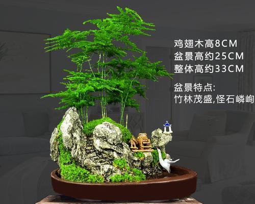 微型桌面摆山水盆景好吗为什么