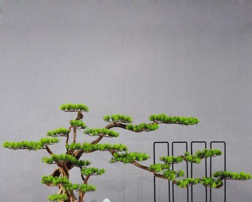 微型桌面摆山水盆景好吗为什么