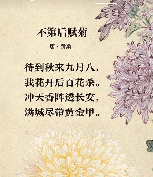 赞美菊花的诗句5年级