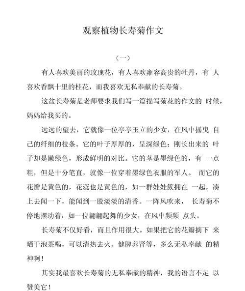菊花写一段话80字以上三年级