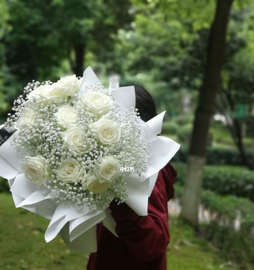 百合花不懂白玫瑰怎么办