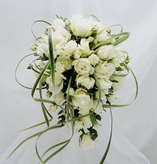 百合花不懂白玫瑰怎么办