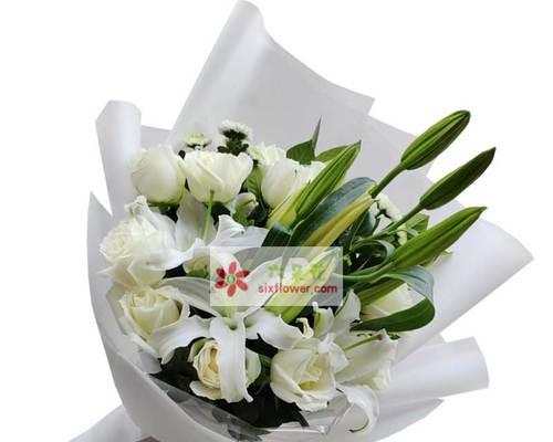 百合花不懂白玫瑰怎么办