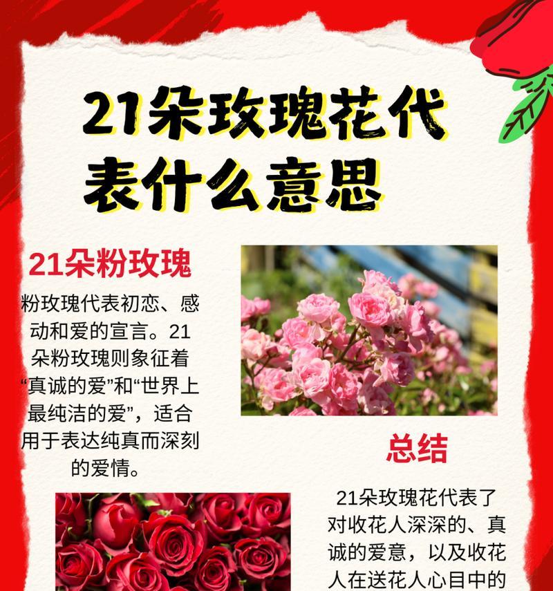 46朵玫瑰花是什么花名字啊