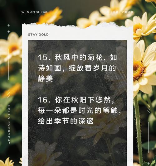 一年级下册关于菊花的简短句子有哪些？