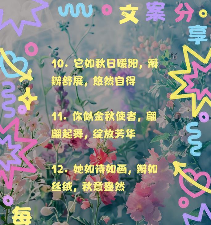 一年级下册关于菊花的简短句子有哪些？