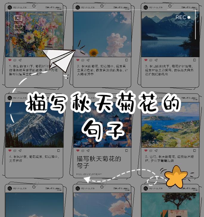 四年级下册简短的菊花相关句子有哪些？