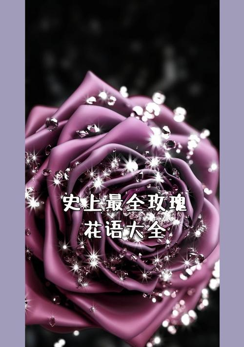 1388枝玫瑰花的含义是什么？如何表达这种数量级的爱意？