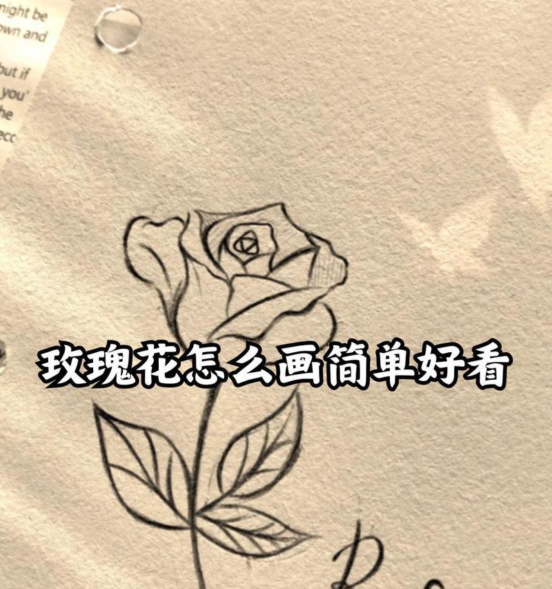 1个玫瑰花代表什么？单朵玫瑰的花语是什么？