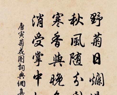 菊花诗句有哪些优美开头？
