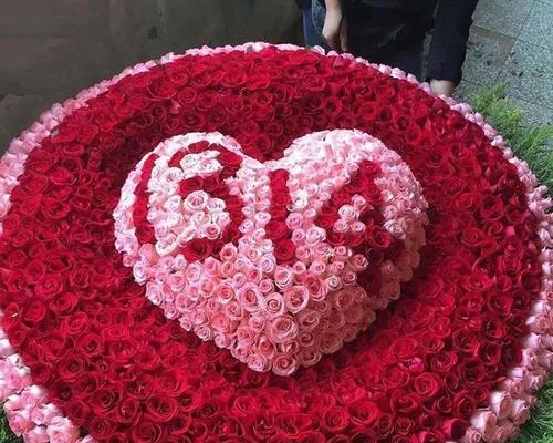 送玫瑰花数量代表什么？不同朵数玫瑰花的含义是什么？