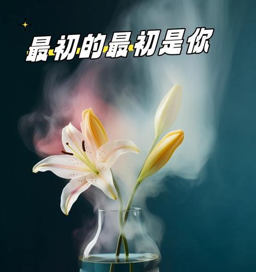 女生之间送百合花有何含义？百合花的象征意义是什么？