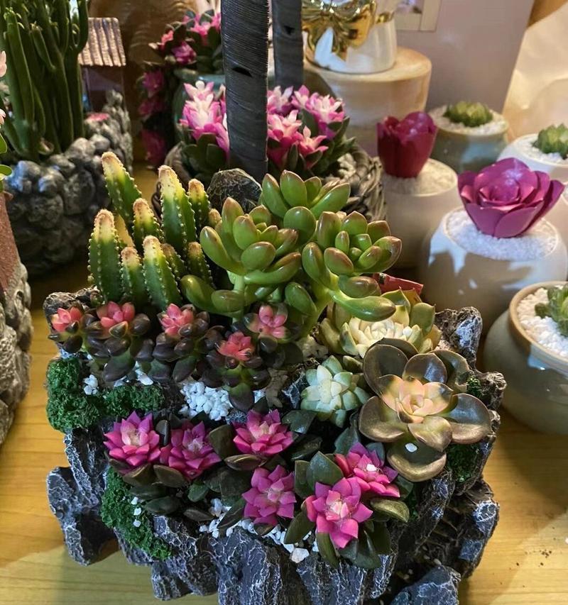 多肉植物象征着什么？它们在花语中通常代表了什么？