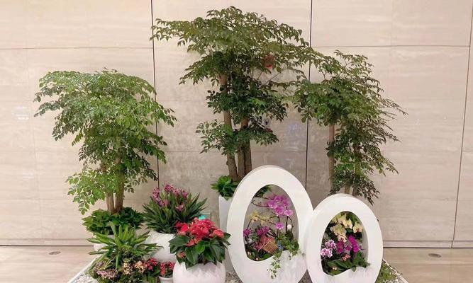 冷凉型花卉在园艺中扮演什么角色？
